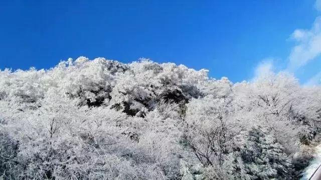 手抖和帕金森病有什么区别