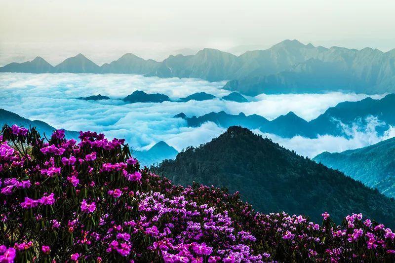 对的最好的上联是什么?- 专业问答类网站